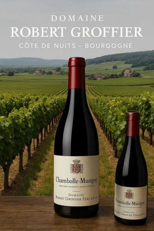 Domaine Robert Groffier : l’art du Pinot Noir au cœur de la Côte de Nuits Le caveau des pépites