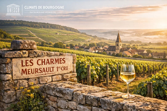 Climat de Bourgogne : focus sur Les Charmes de Meursault Le caveau des pépites