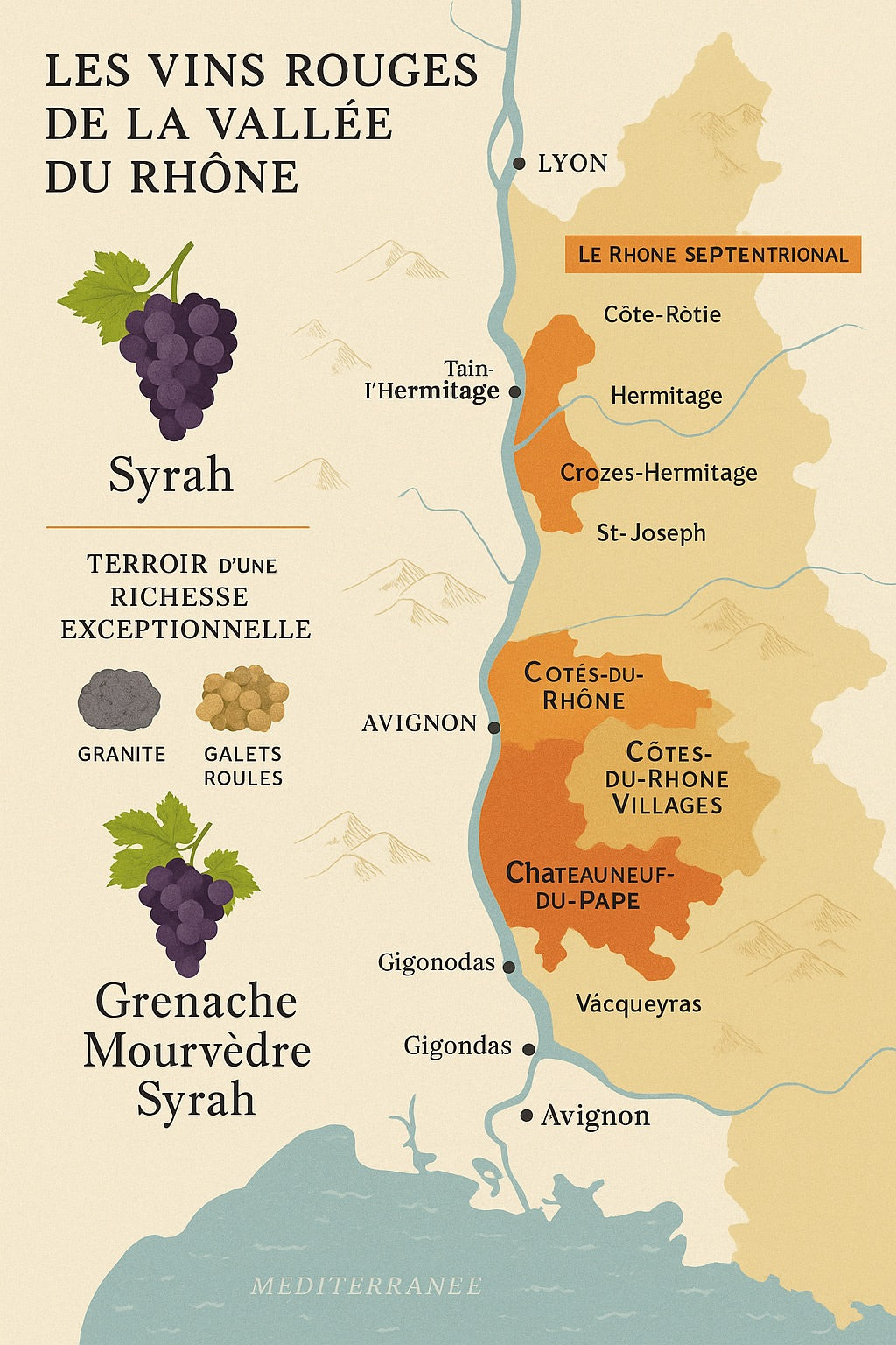 Les vins rouges de la Vallée du Rhône : puissance, terroir et diversité