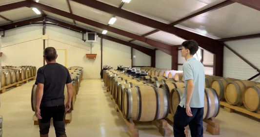 Domaine Ligier : la tradition jurassienne entre Chardonnay, Savagnin et Crémant d’Arbois