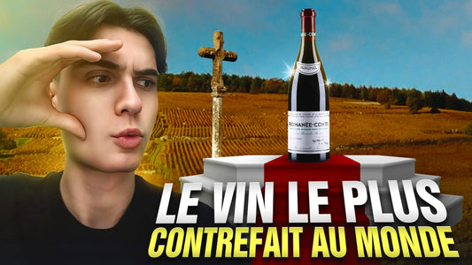 Domaine de la Romanée-Conti : le mythe absolu de la Bourgogne Le caveau des pépites