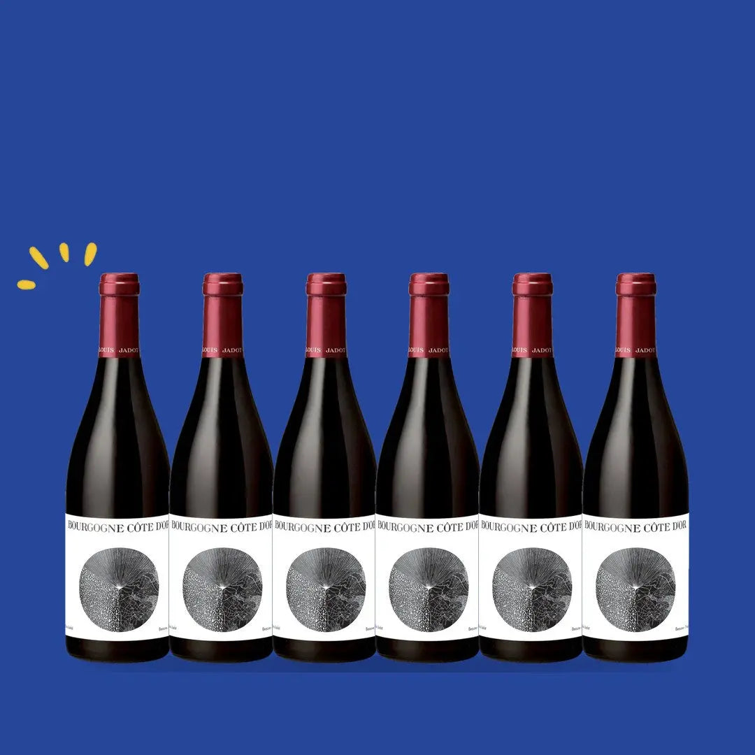 Carton de 6 bouteilles Bourgogne Côte d'Or rouge 2023, Louis Jadot