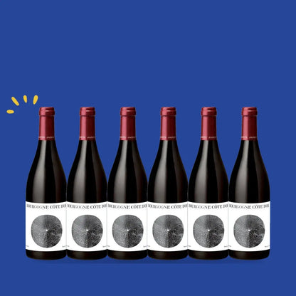 Carton de 6 bouteilles Bourgogne Côte d'Or rouge 2023, Louis Jadot