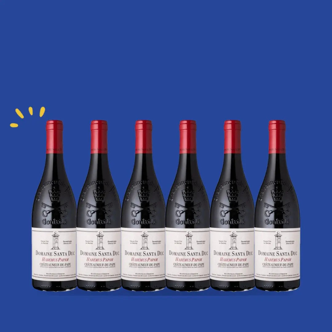 Carton de 6 bouteilles Châteauneuf-du-Pape Habemus Papam 2021 Magnum, Santa Duc
