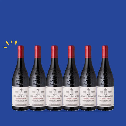 Carton de 6 bouteilles Châteauneuf-du-Pape Habemus Papam 2021 Magnum, Santa Duc
