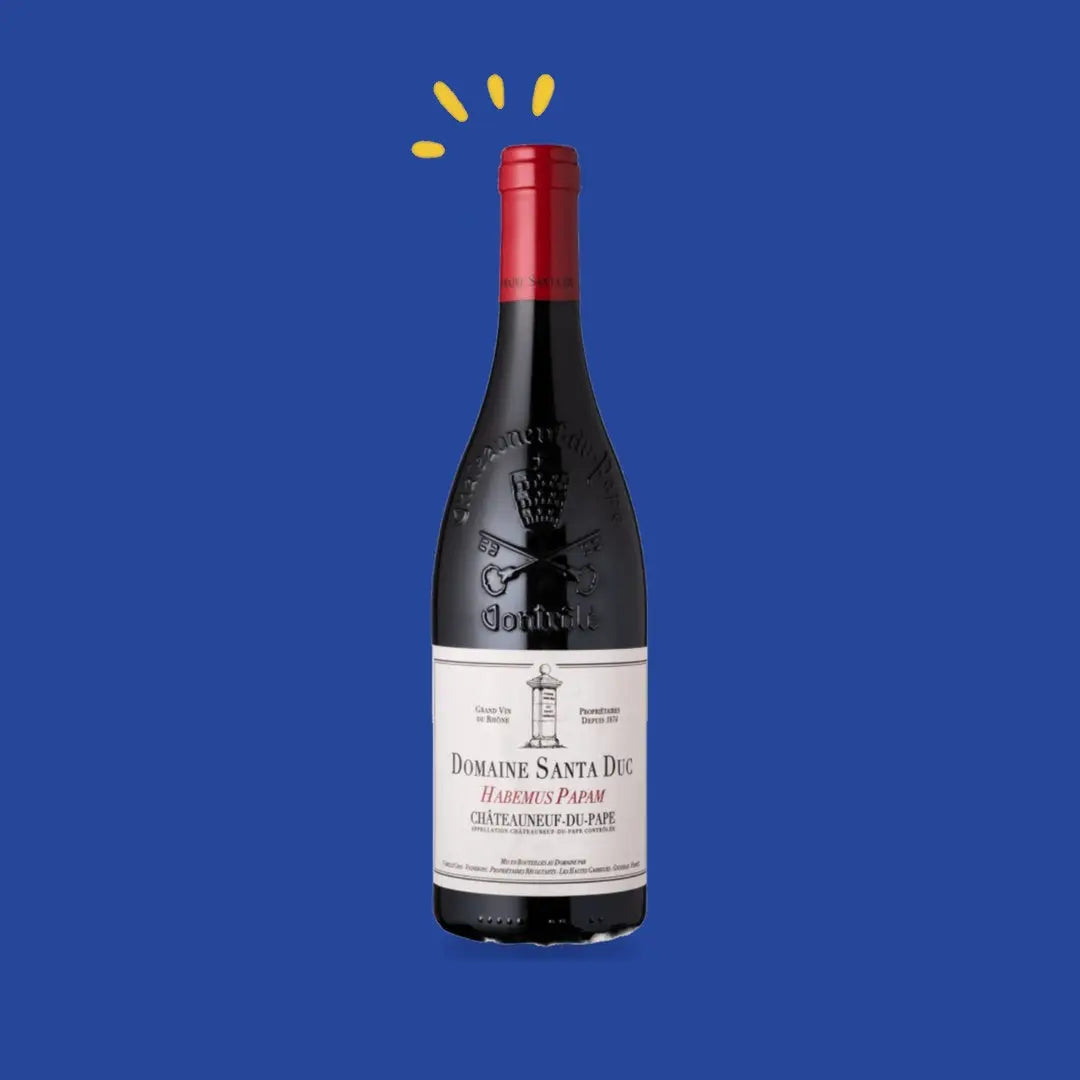 Châteauneuf-du-Pape Habemus Papam 2021 Magnum, Santa Duc
