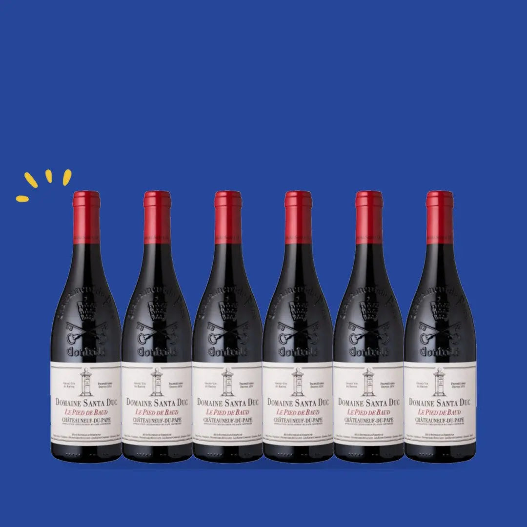 Carton de 6 bouteilles Châteauneuf-du-Pape Le Pied de Baud 2021, Santa Duc