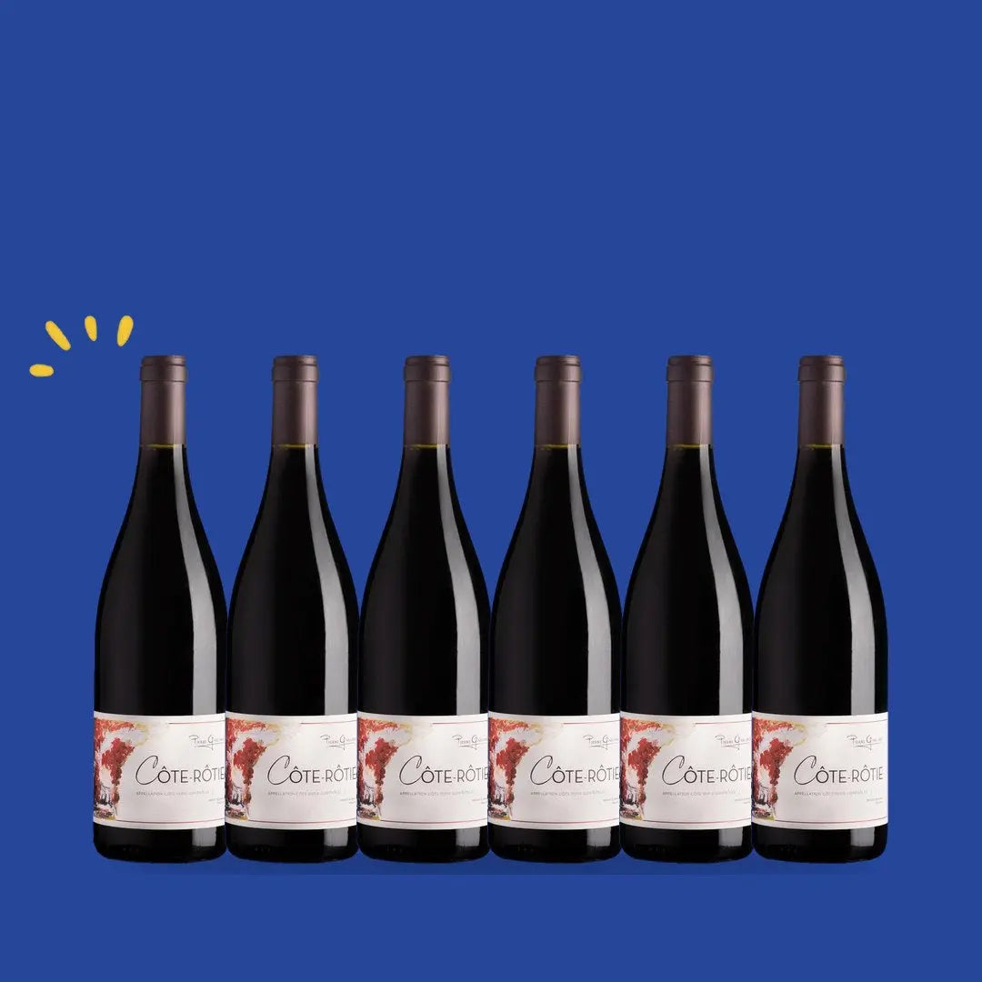 Carton de 6 bouteilles Côte-Rôtie 2023, Domaine Pierre Gaillard