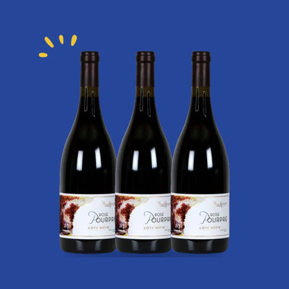 Lot de 3 bouteilles Côte-Rôtie Rose Pourpre 2021, Domaine Pierre Gaillard