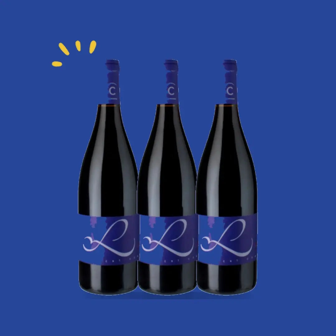 Lot de 3 bouteilles Crozes-Hermitage Cuvée L Magnum, Laurent Combier