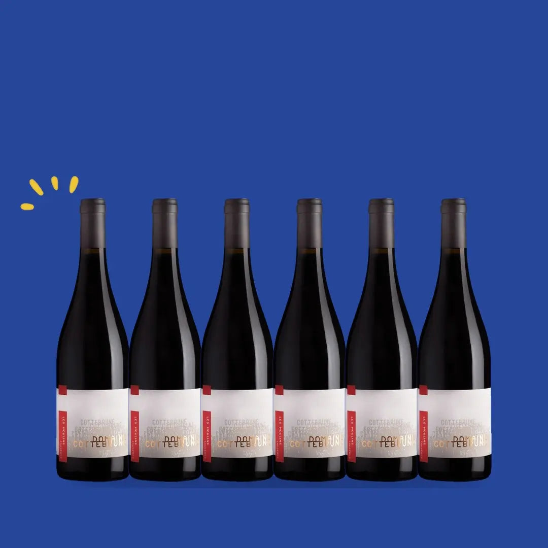 Carton de 6 bouteilles Faugères Les Moulins 2021, Domaine Gaillard