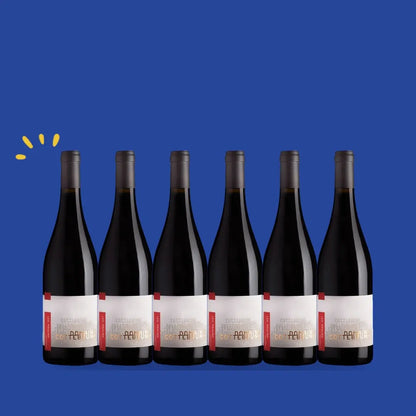 Carton de 6 bouteilles Faugères Les Moulins 2021, Domaine Gaillard