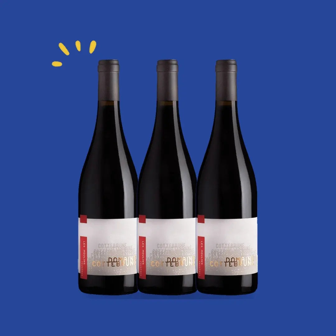 Lot de 3 bouteilles Faugères Les Moulins 2021, Domaine Gaillard