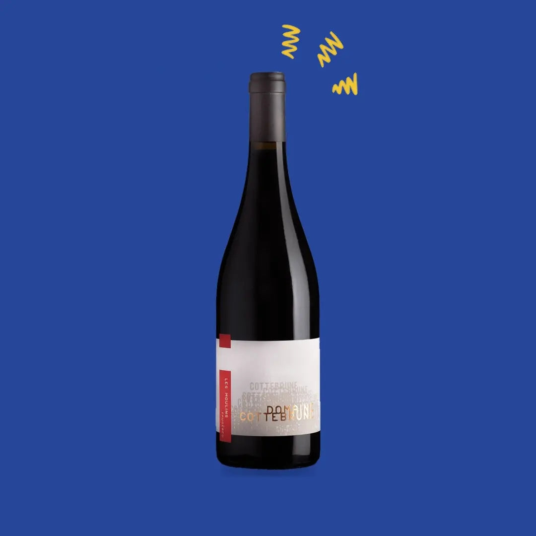 Faugères Les Moulins 2021, Domaine Cottebrune (Pierre Gaillard)