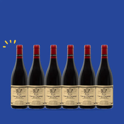 Carton de 6 bouteilles Fixin 1er Cru Clos du Chapitre 2023, Domaine Louis Jadot