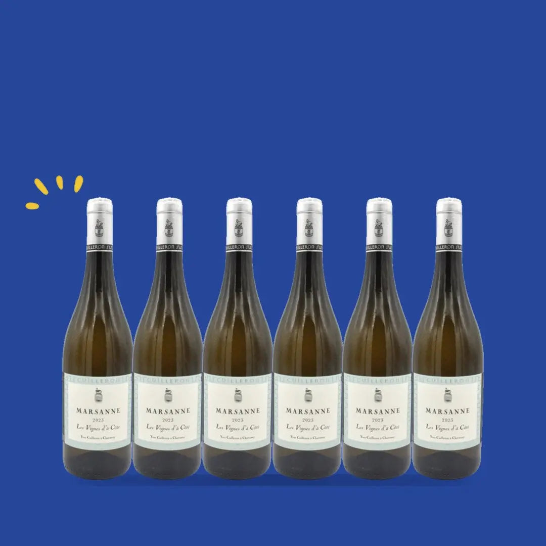 Carton de 6 bouteilles Marsanne Les Vignes d'à Côté 2024, Yves Cuilleron