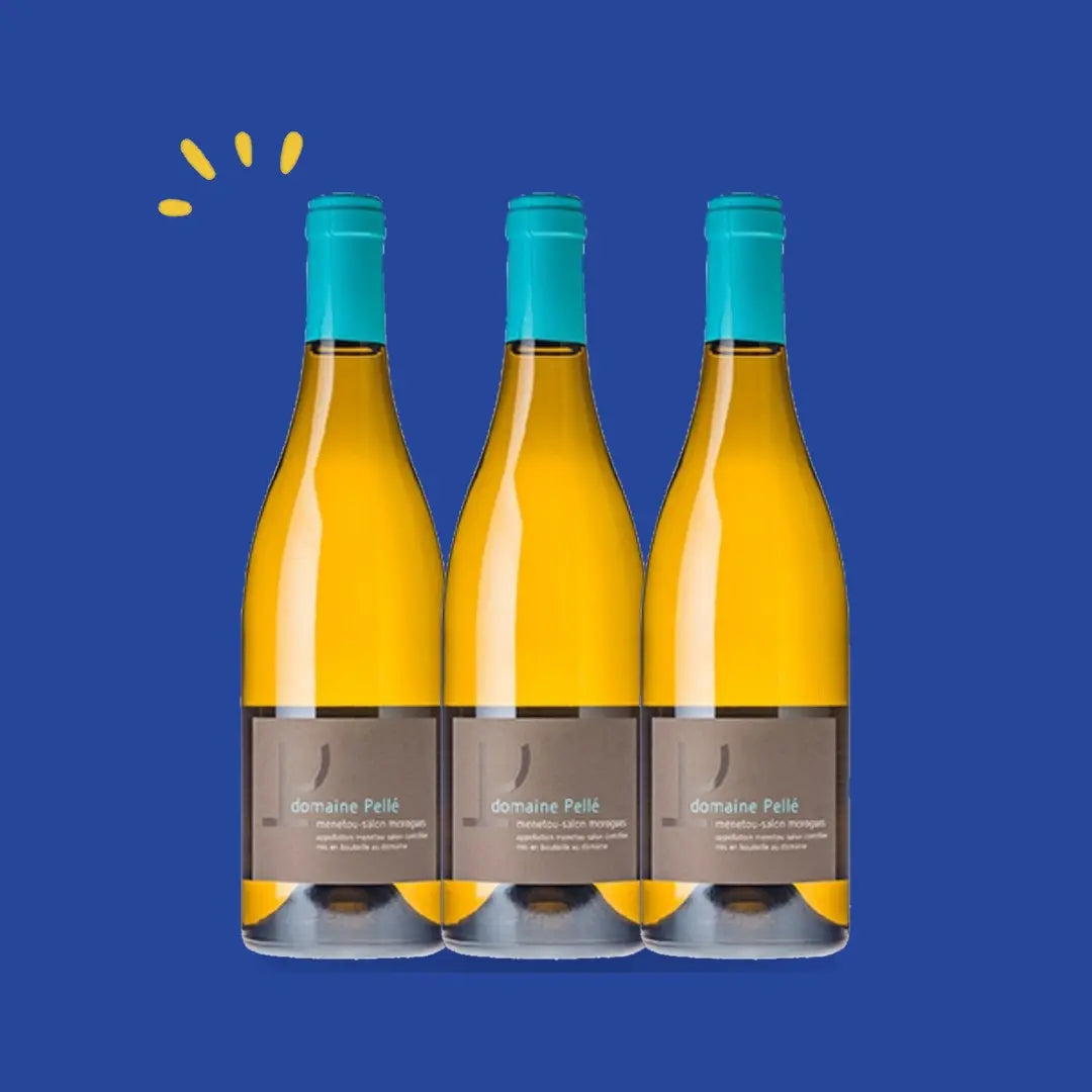 Lot de 3 bouteilles Menetou-Salon blanc Morogues 2023, Henry Pellé