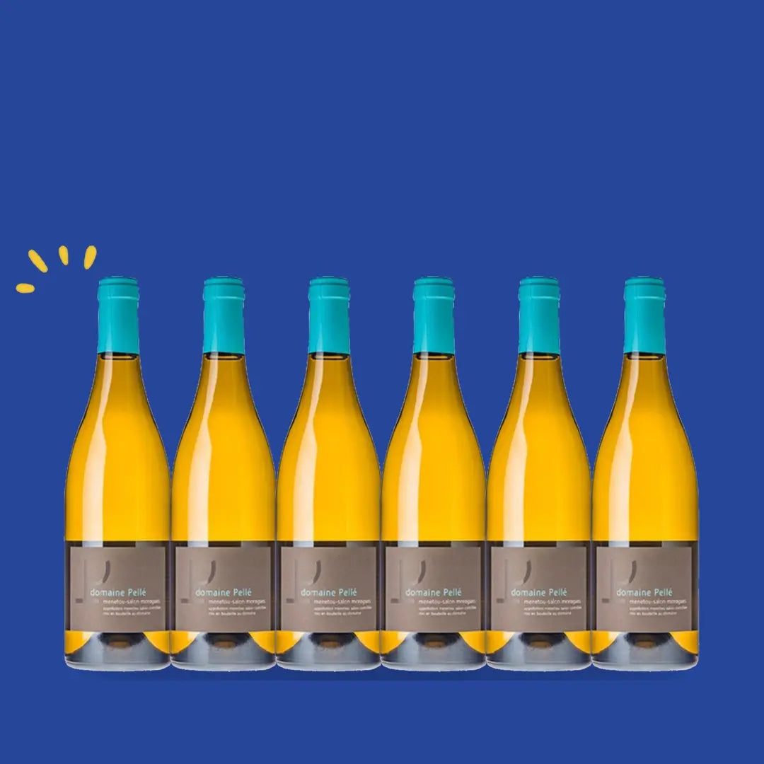 Carton de 6 bouteilles Menetou-Salon blanc Morogues Magnum, Henry Pellé