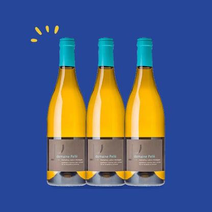 Lot de 3 bouteilles Menetou-Salon blanc Morogues Magnum, Henry Pellé