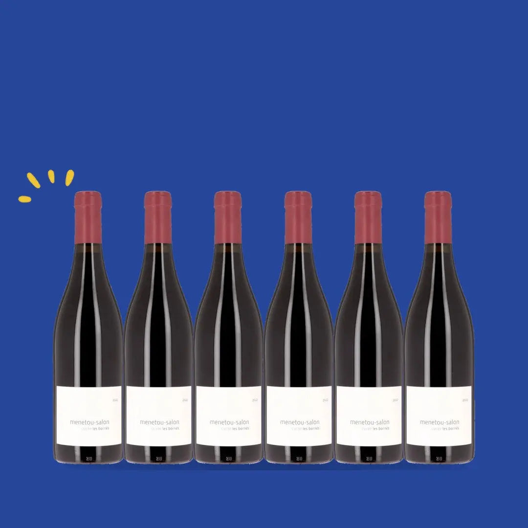 Carton de 6 bouteilles Menetou-Salon rouge Les Bornés, Henry Pellé