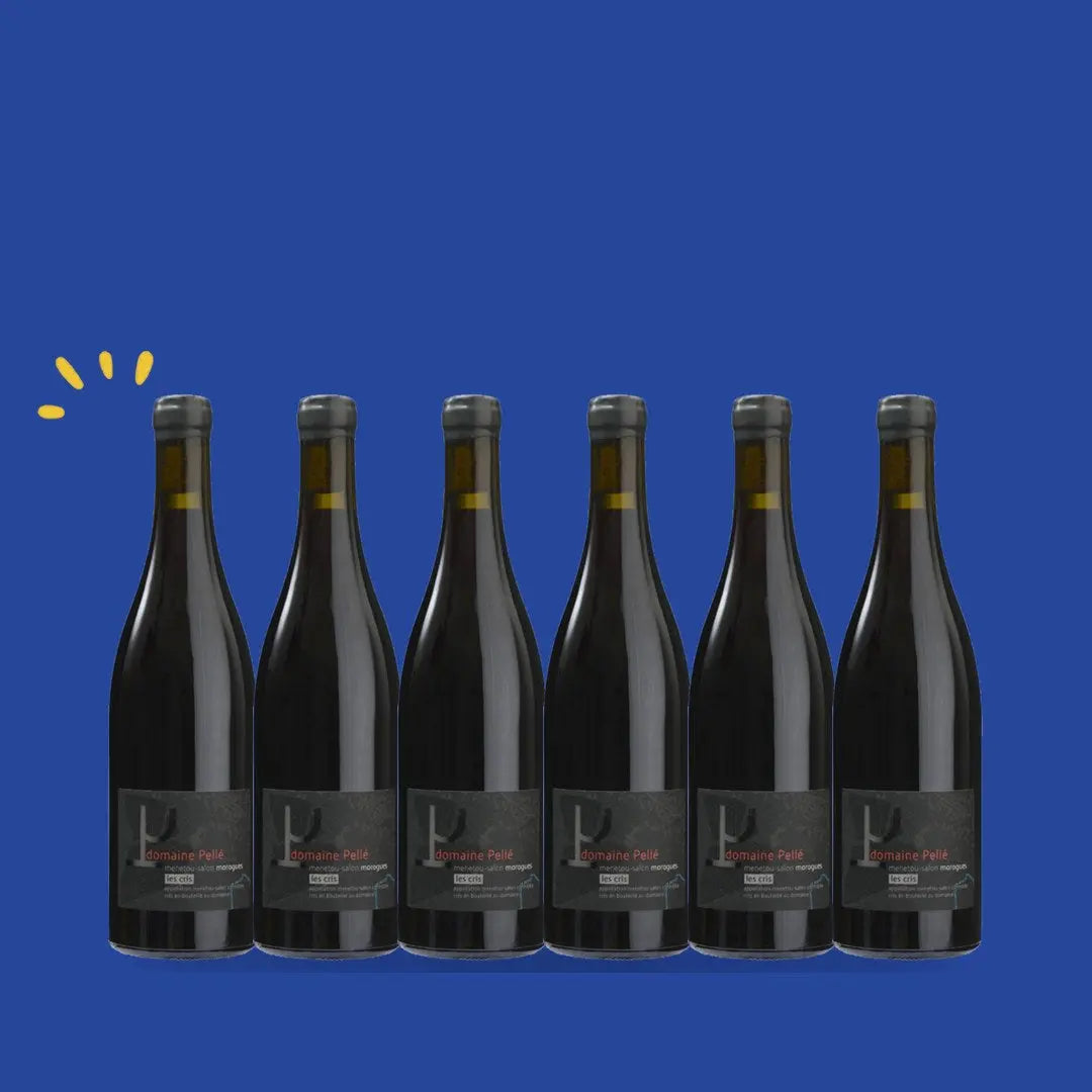 Carton de 6 bouteilles Menetou-Salon rouge Les Cris, Henry Pellé