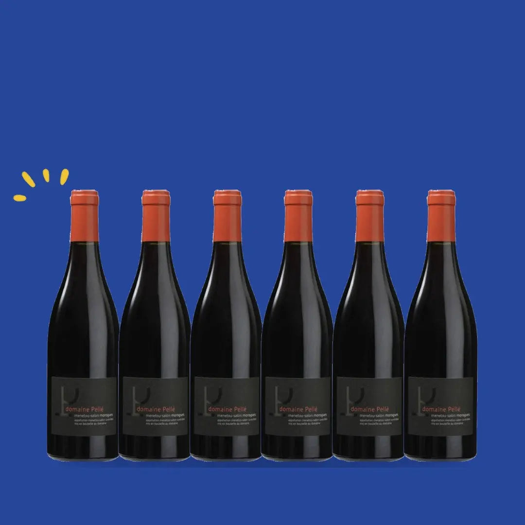 Carton de 6 bouteilles Menetou-Salon rouge Morogues, Henry Pellé