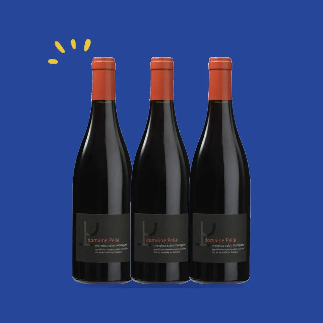 Lot de 3 bouteilles Menetou-Salon rouge Morogues, Henry Pellé