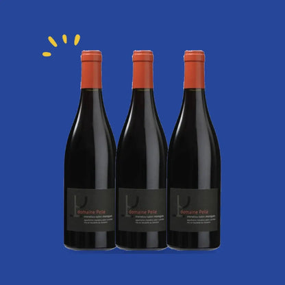Lot de 3 bouteilles Menetou-Salon rouge Morogues Magnum, Henry Pellé