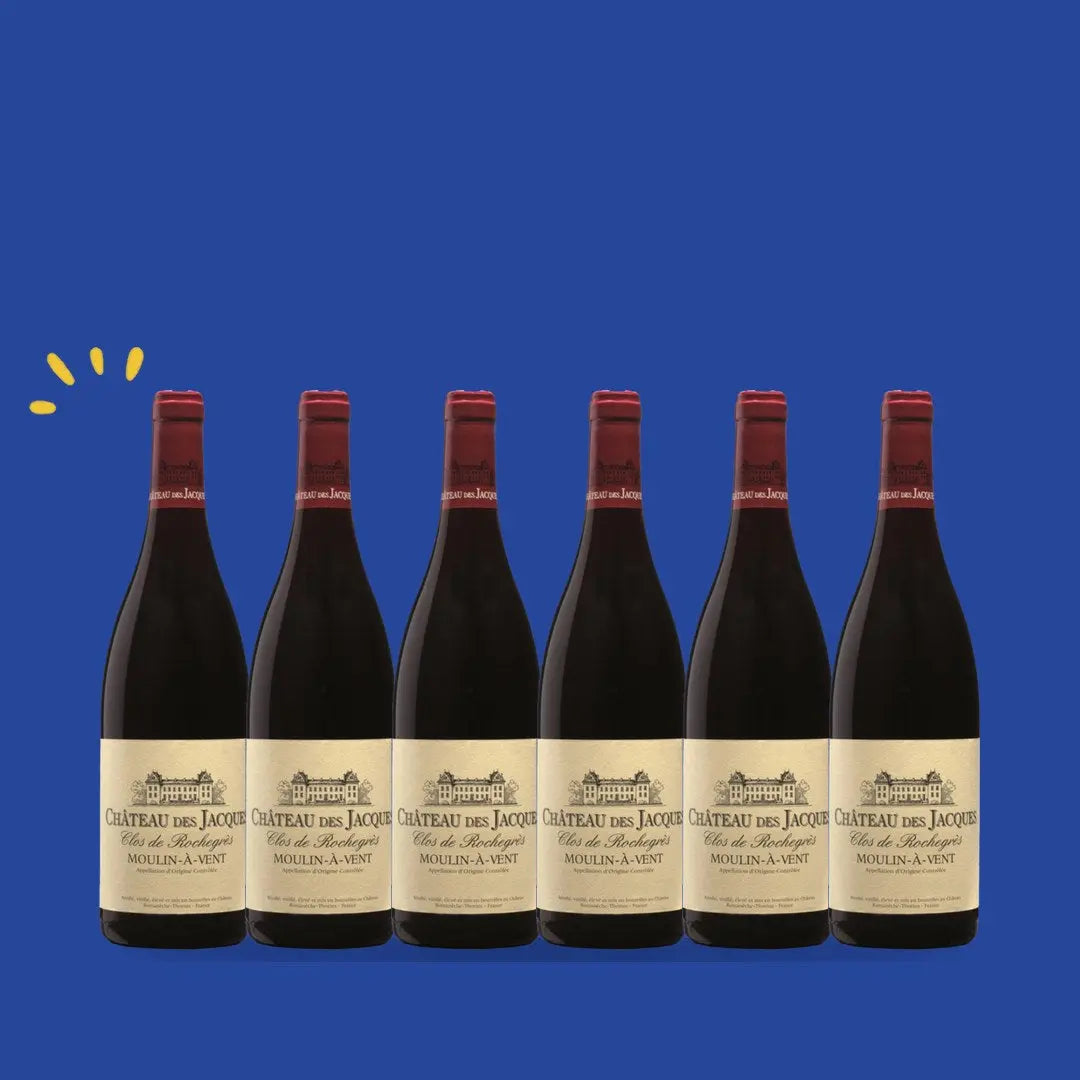 Carton de 6 bouteilles Moulin-à-Vent Clos de Rochegrès, Château des Jacques