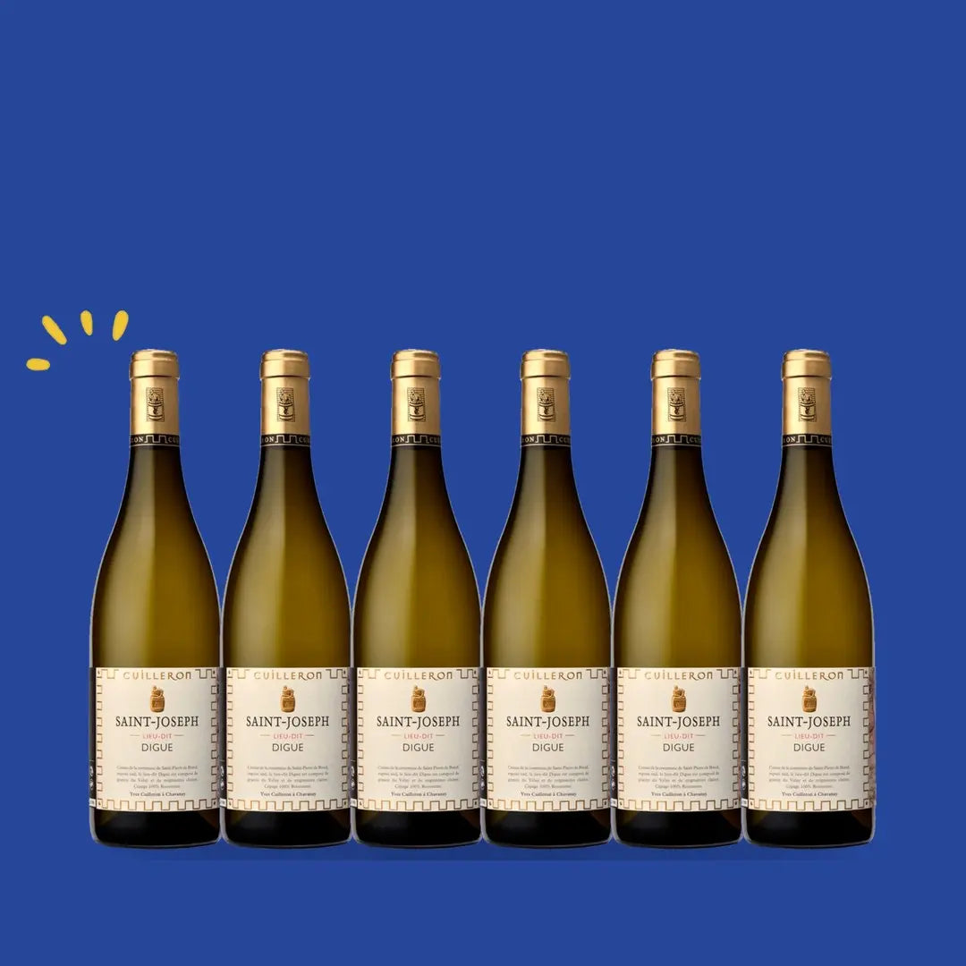 Carton de 6 bouteilles Saint-Joseph blanc Lieu-dit Digue 2023, Yves Cuilleron