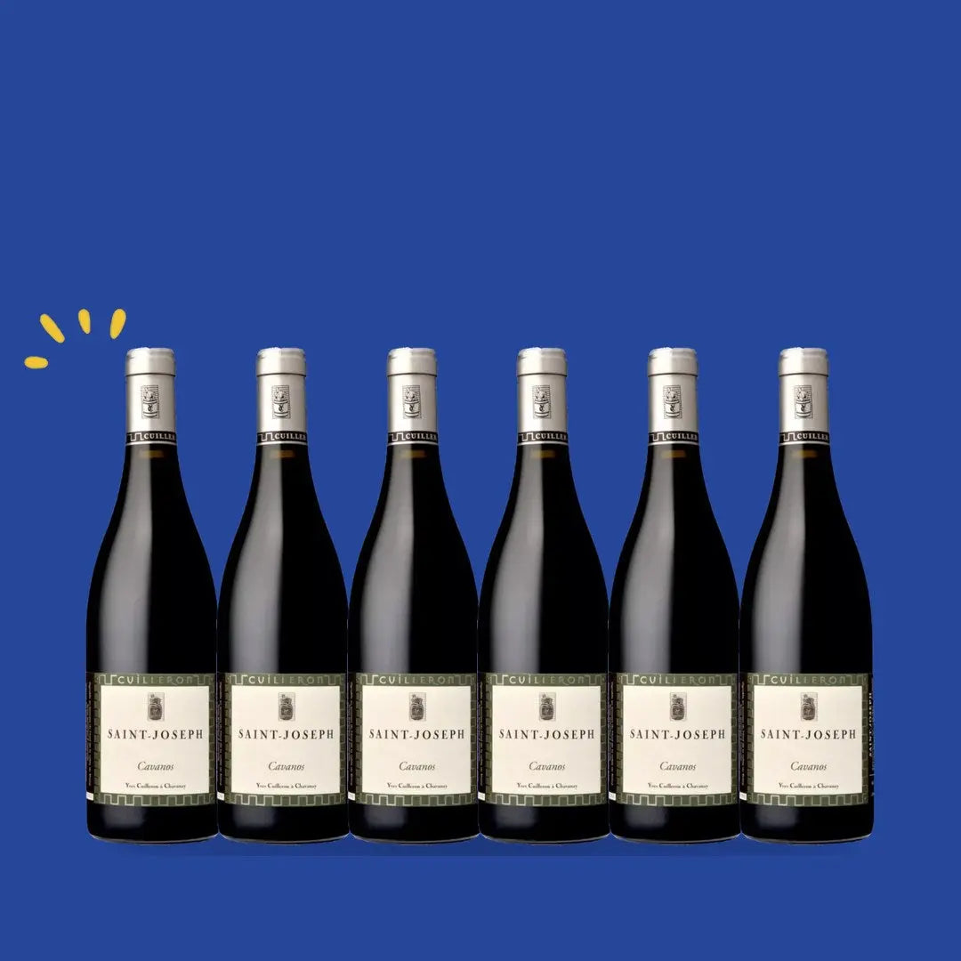 Carton de 6 bouteilles Saint-Joseph Cavanos 2021, Yves Cuilleron