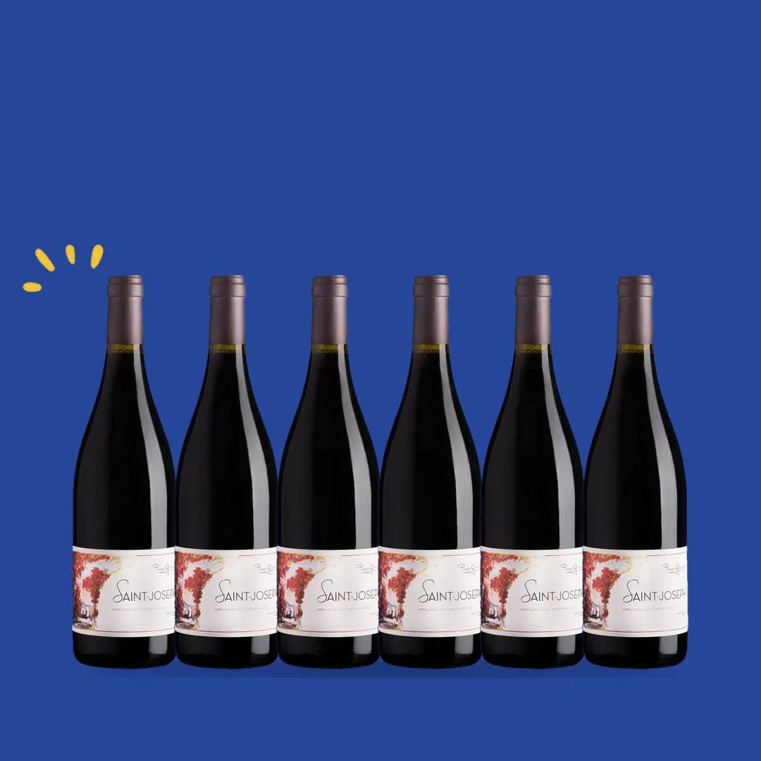Carton de 6 bouteilles Saint-Joseph, Domaine Pierre Gaillard