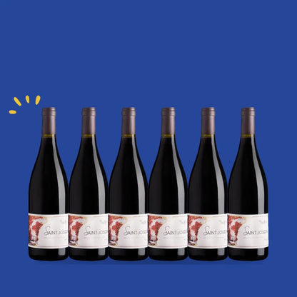 Carton de 6 bouteilles Saint-Joseph, Domaine Pierre Gaillard