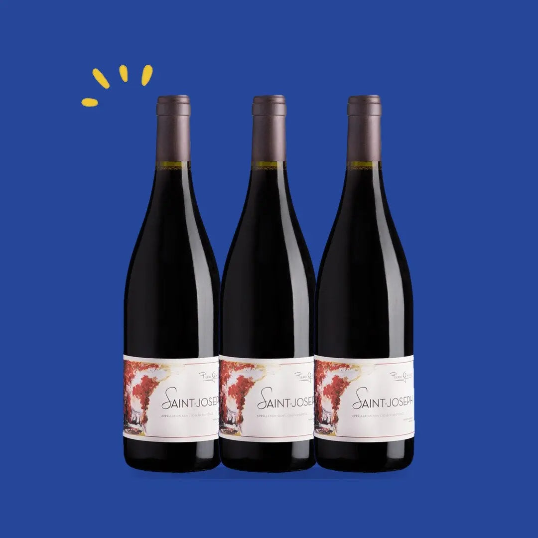 Lot de 3 bouteilles Saint-Joseph, Domaine Pierre Gaillard
