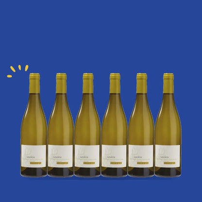 Carton de 6 bouteilles Sancerre blanc La Croix au Garde 2023, Henry Pellé