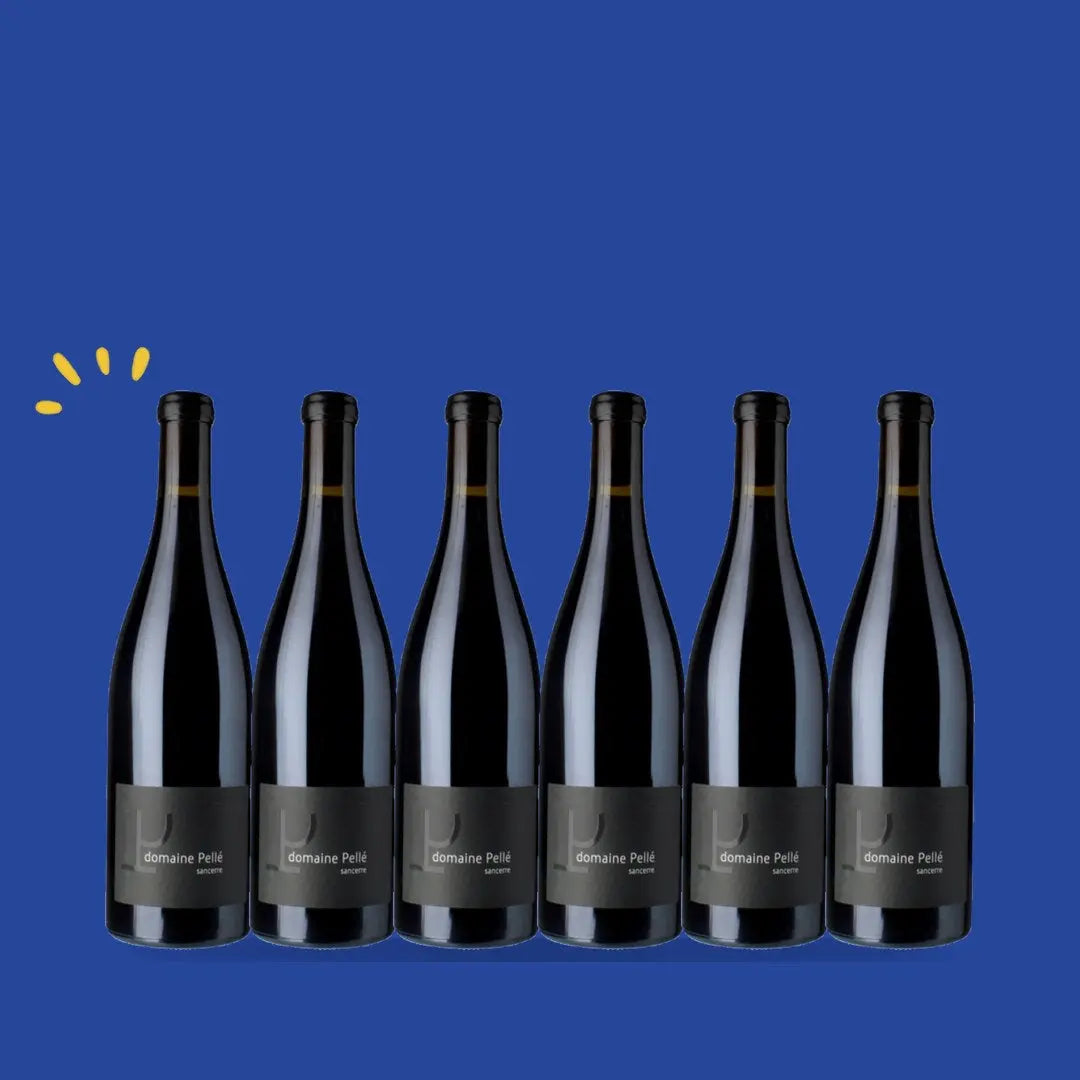 Carton de 6 bouteilles Sancerre rouge La Croix au Garde, Henry Pellé