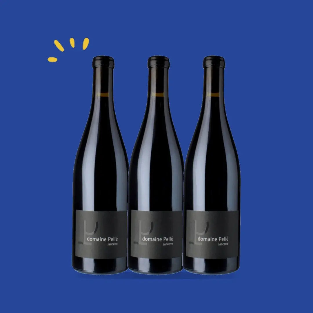 Lot de 3 bouteilles Sancerre rouge La Croix au Garde, Henry Pellé