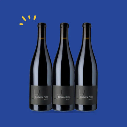 Lot de 3 bouteilles Sancerre rouge La Croix au Garde, Henry Pellé