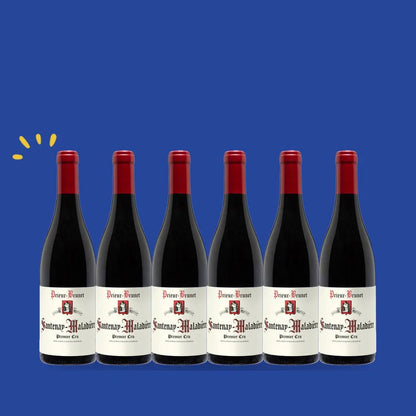 Carton de 6 bouteilles Santenay rouge 1er Cru Maladière 2023, Domaine Prieur-Brunet