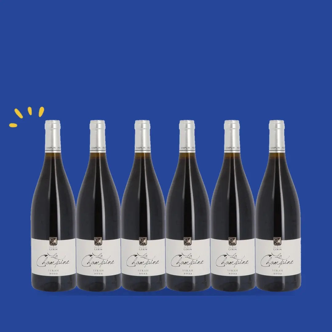 Carton de 6 bouteilles Syrah 2023, Domaine Jean-Michel Gerin