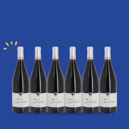 Carton de 6 bouteilles Syrah 2023, Domaine Jean-Michel Gerin