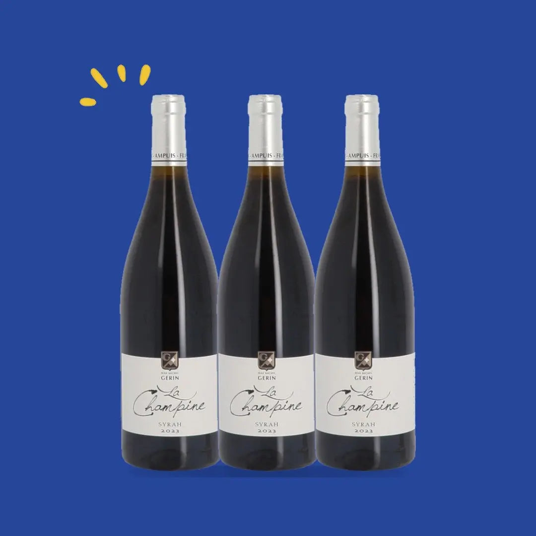 Lot de 3 bouteilles Syrah 2023, Domaine Jean-Michel Gerin