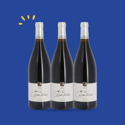 Lot de 3 bouteilles Syrah 2023, Domaine Jean-Michel Gerin