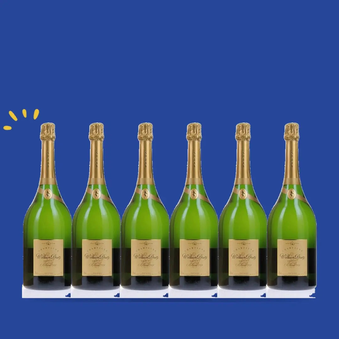 Carton de 6 bouteilles William Deutz 2014 Magnum