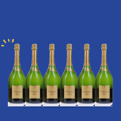 Carton de 6 bouteilles William Deutz 2014 Magnum